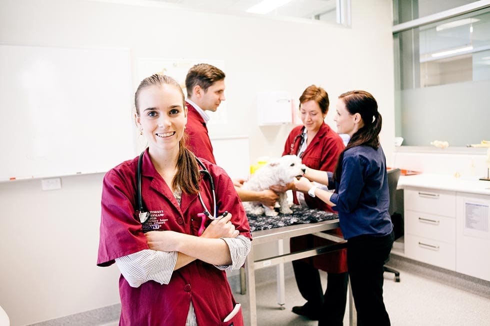 university-of-queensland-content
